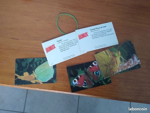 Cartes bonux nature papillons - cartes,